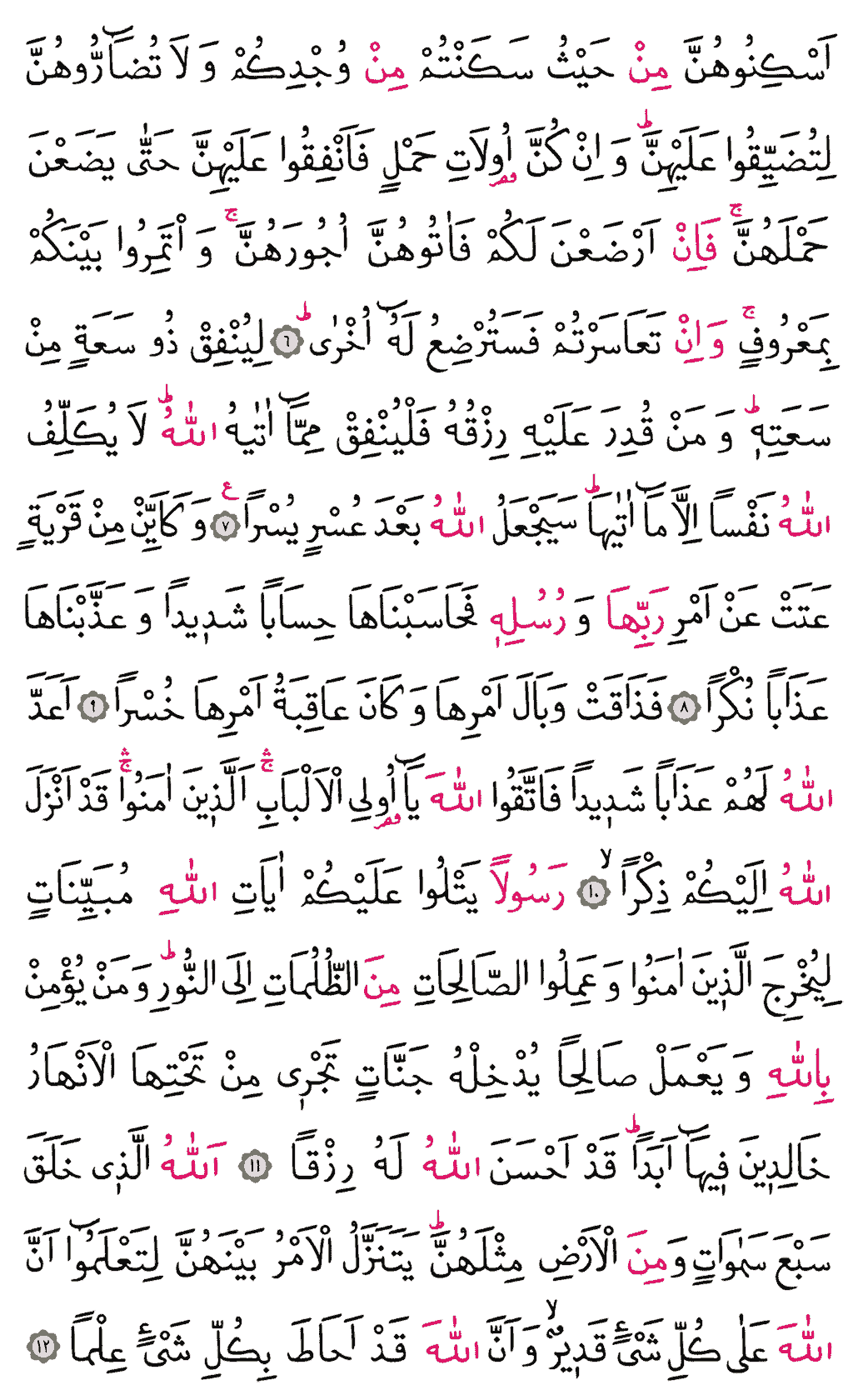 Talâk Sûresi - 558. Sayfa Arapçası