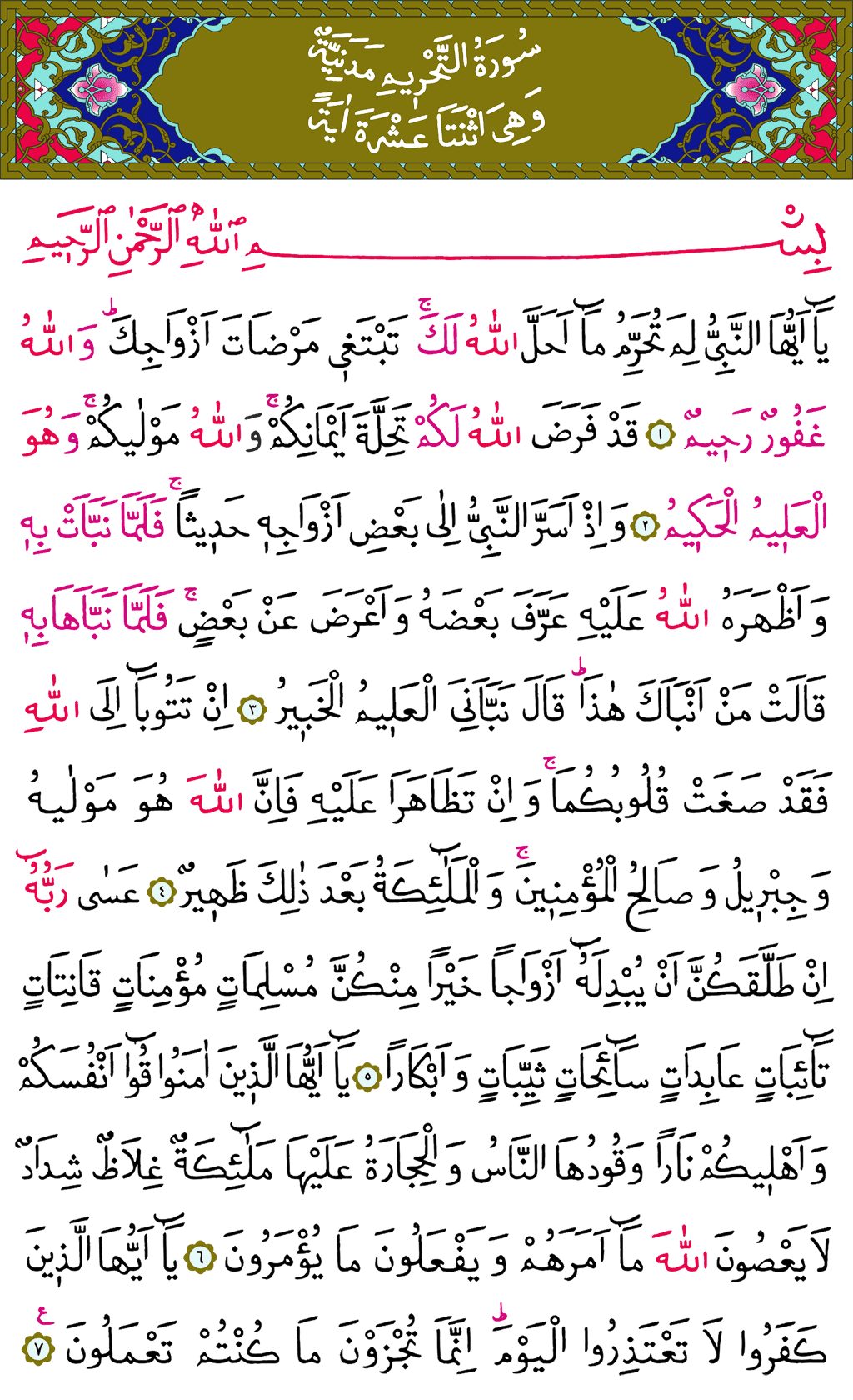 Tahrîm Sûresi - 559. Sayfa Arapçası