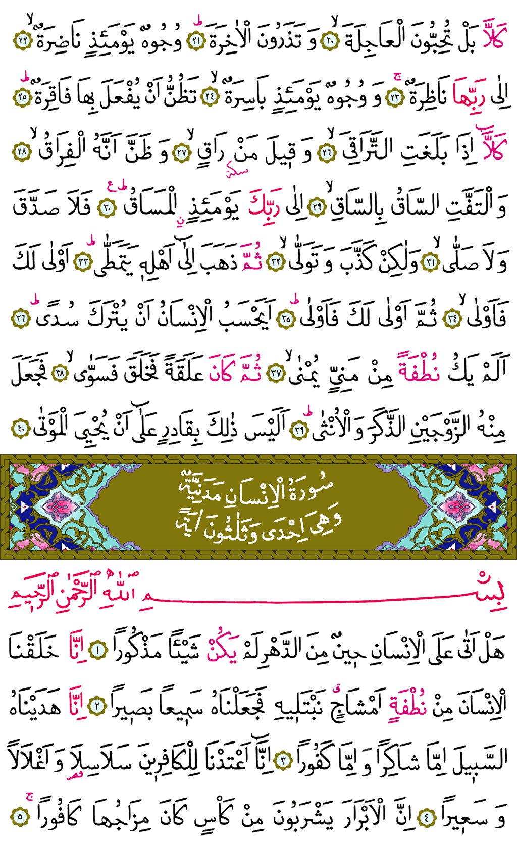 Kıyâmet ve İnsân Sûresi - 577. Sayfa Arapçası