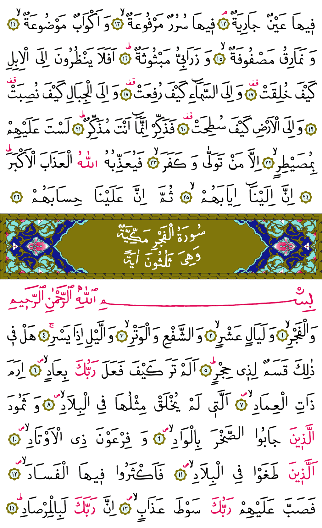 Gâşiye ve Fecr Sûresi - 592. Sayfa Arapçası