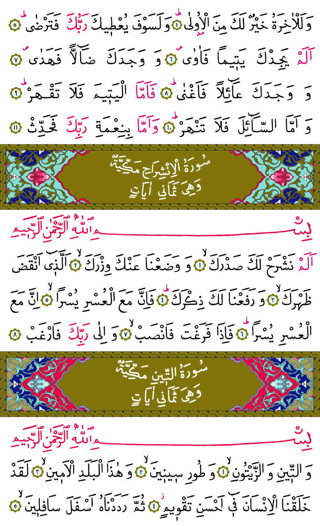 Duhâ, İnşirâh ve Tîn Sûresi - 596. Sayfa Arapçası