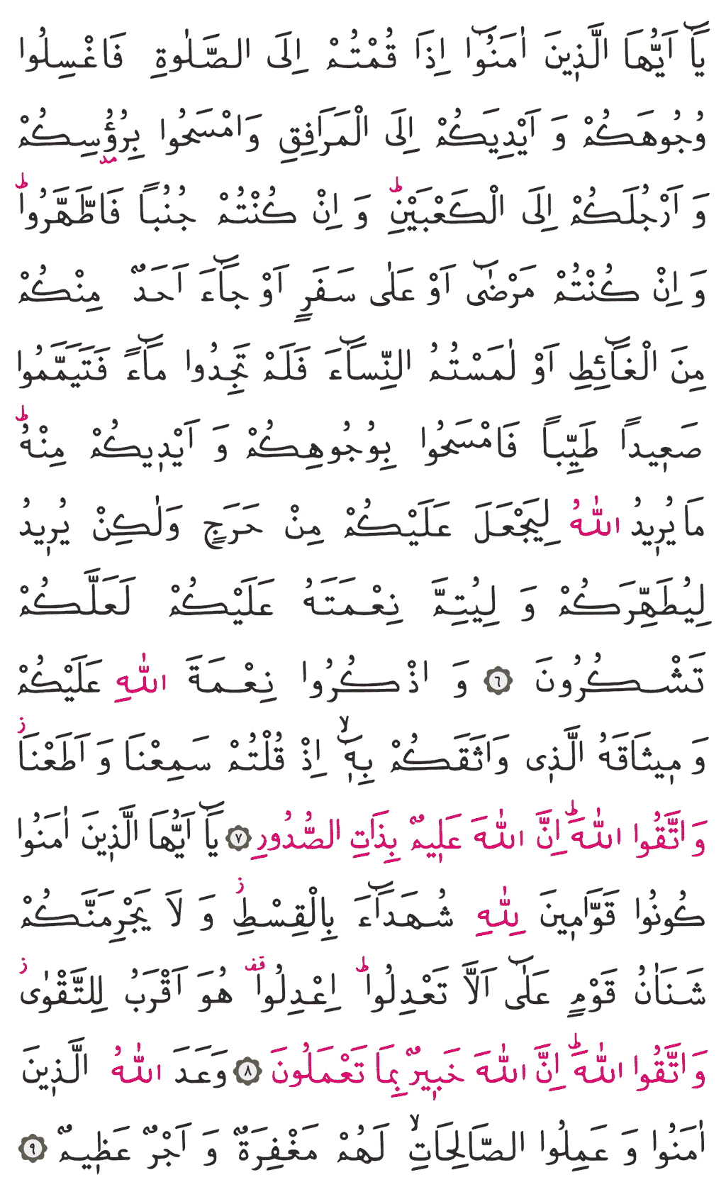 Mâide Sûresi - 107. Sayfa Arapçası