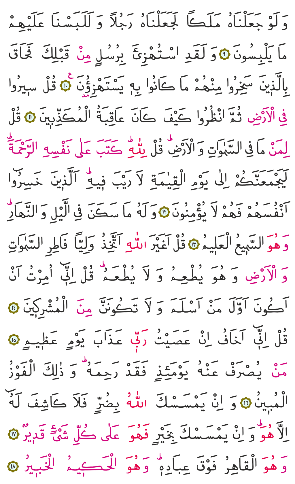 En'âm Sûresi - 128. Sayfa Arapçası