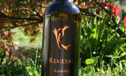 Viña Remesal