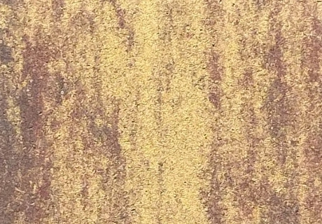 BRILANT