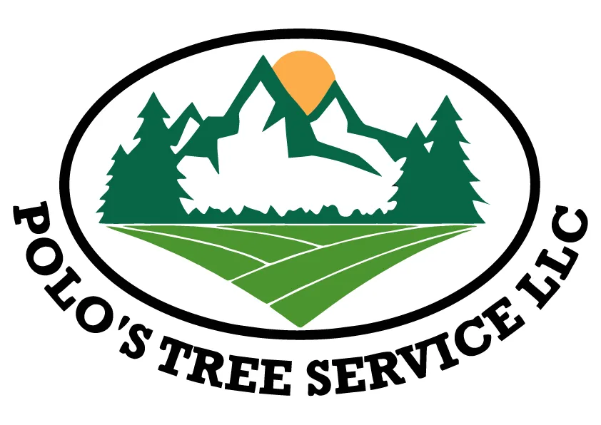 Polo`s Tree Service LLC
