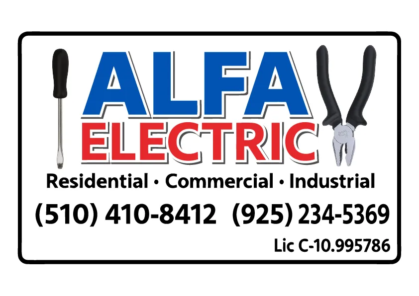 Alfa Electric Inc
