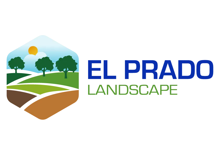 Professional Tree Pruning Services
