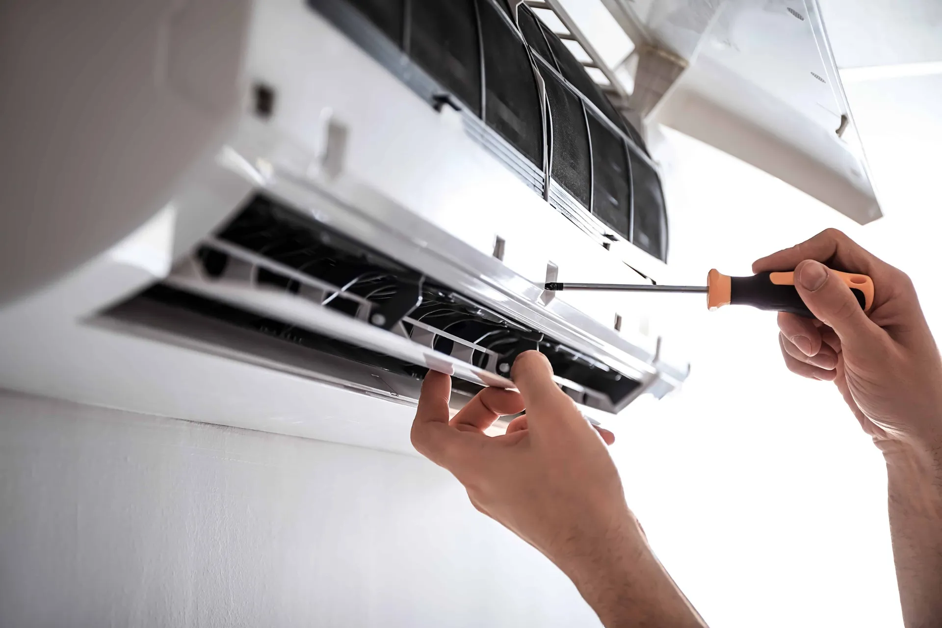 Gallery item 4