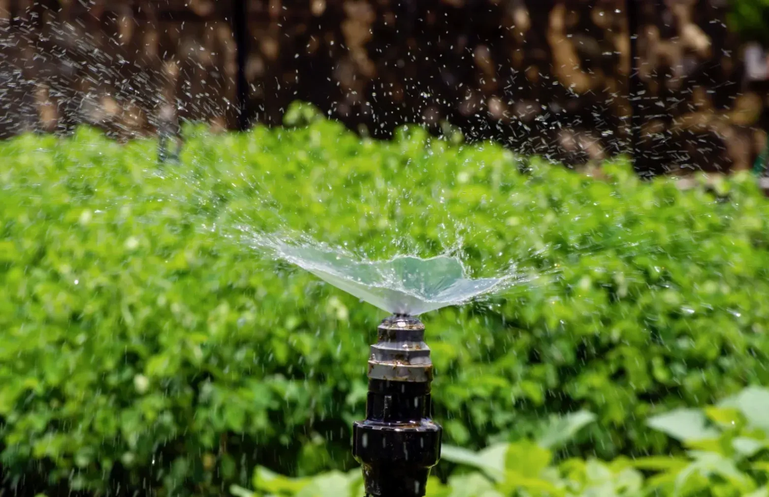 Irrigation Systems