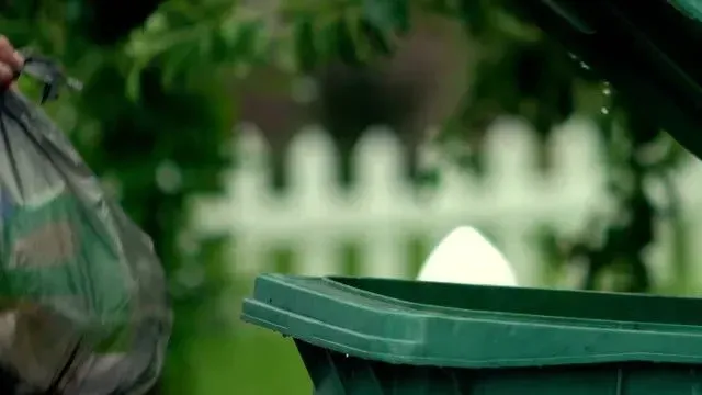 Edwin Junk Removal 3