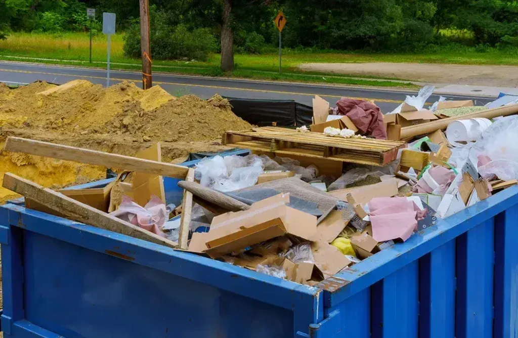 Edwin Junk Removal 1