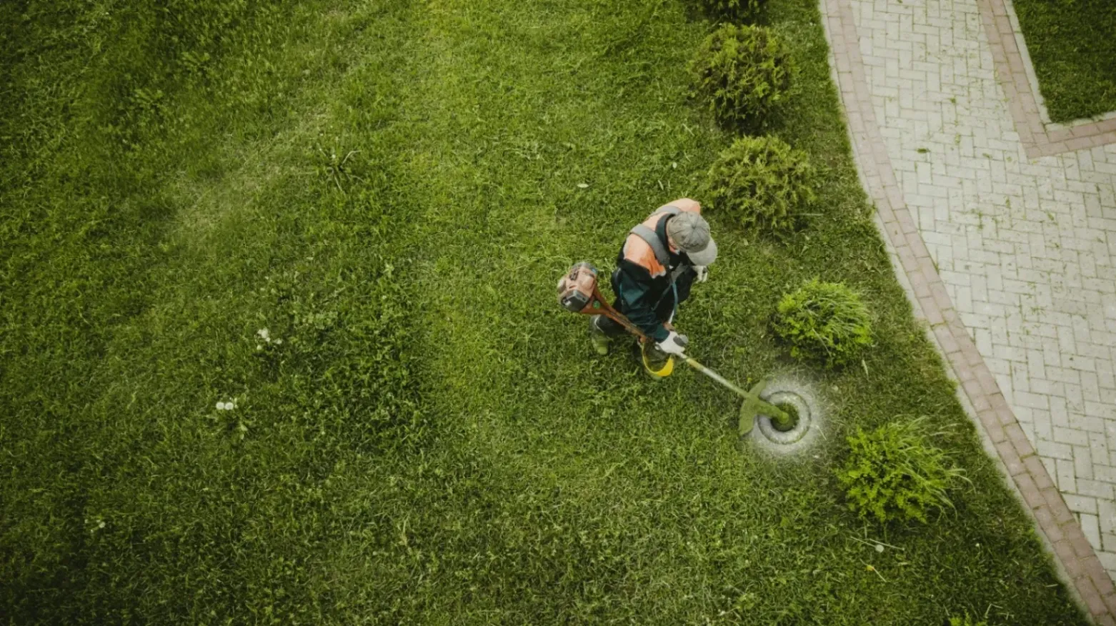 Landscape Maintenance