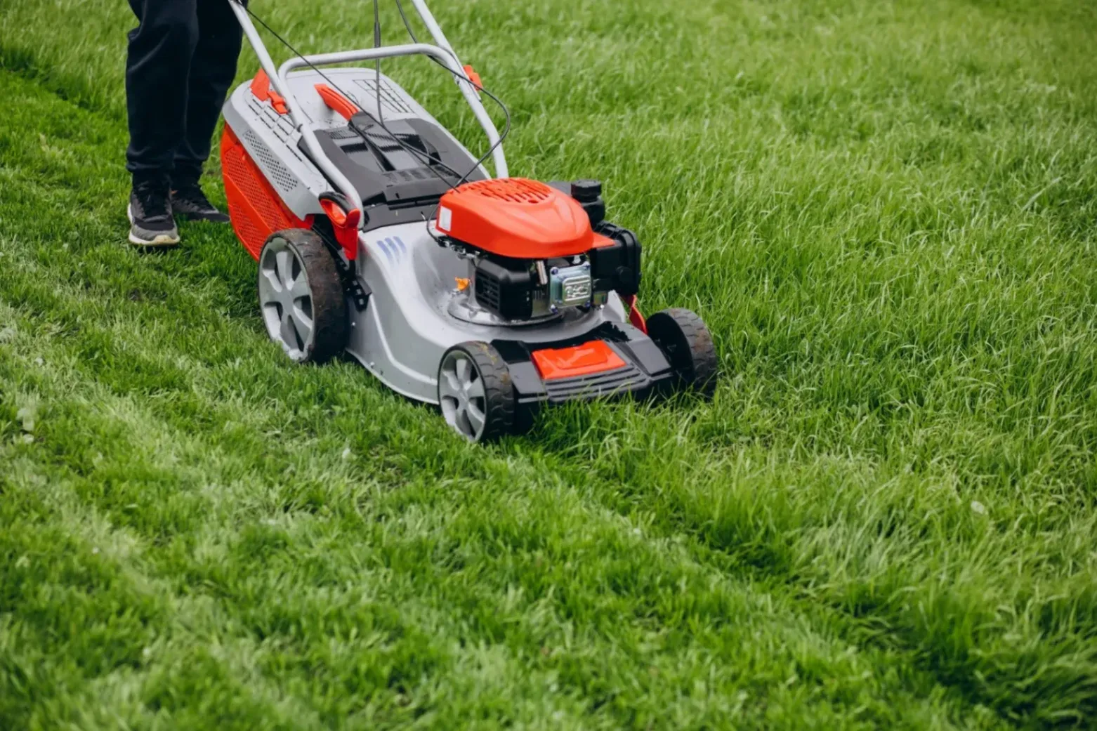 Landscaping Services