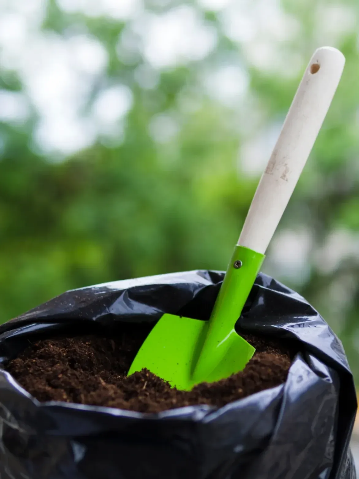 The Importance of Soil Preparation Before Winter