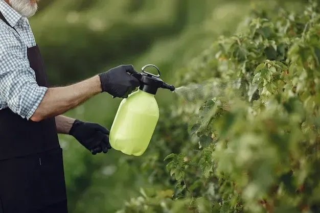 Weed Control & Fertilization