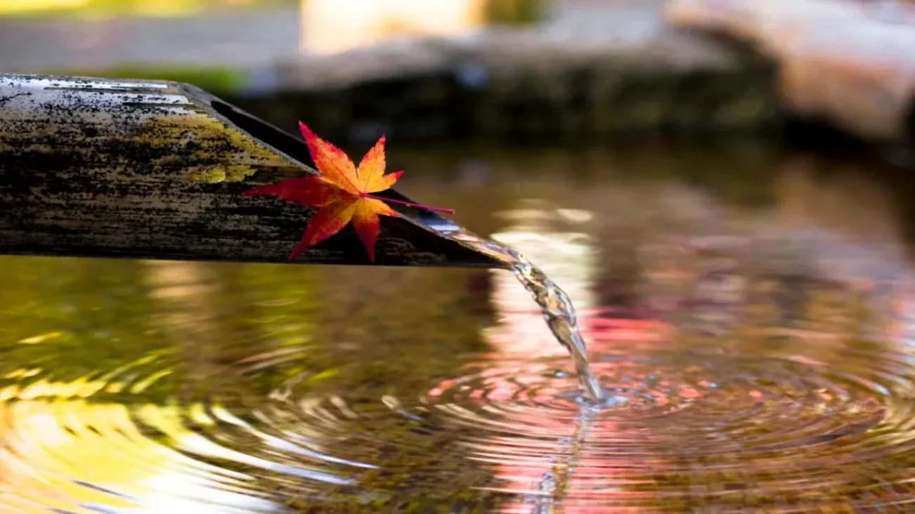 Water Features