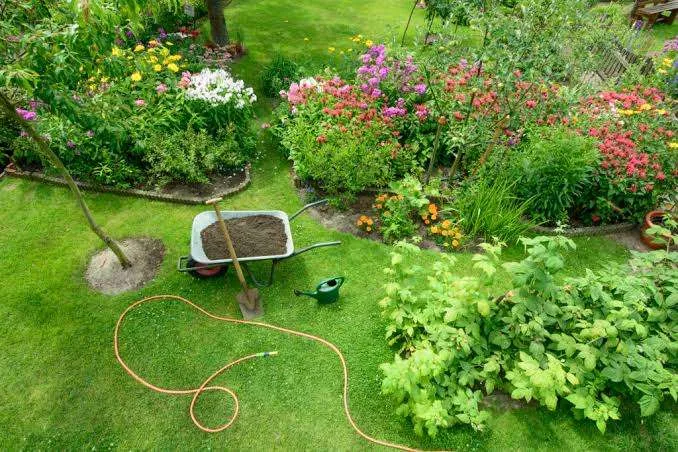 How to Create a Wildlife Habitat in Your Yard
