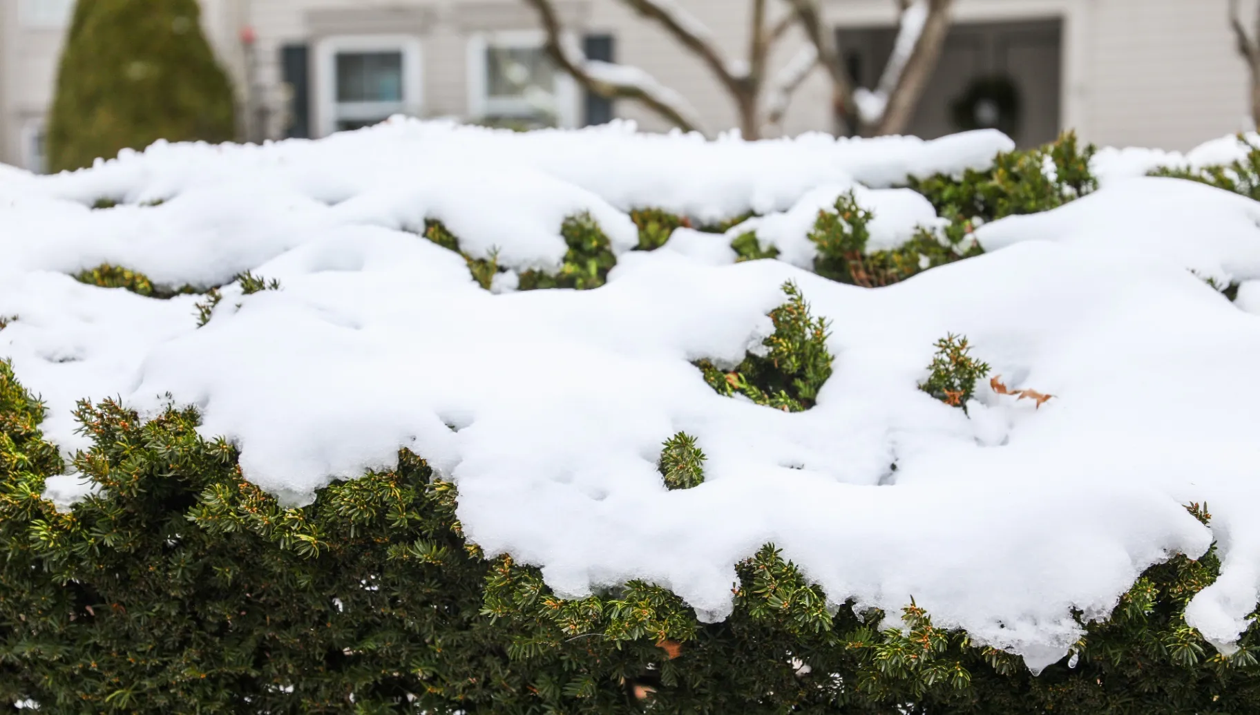 Preparing Your Landscape for Winter
