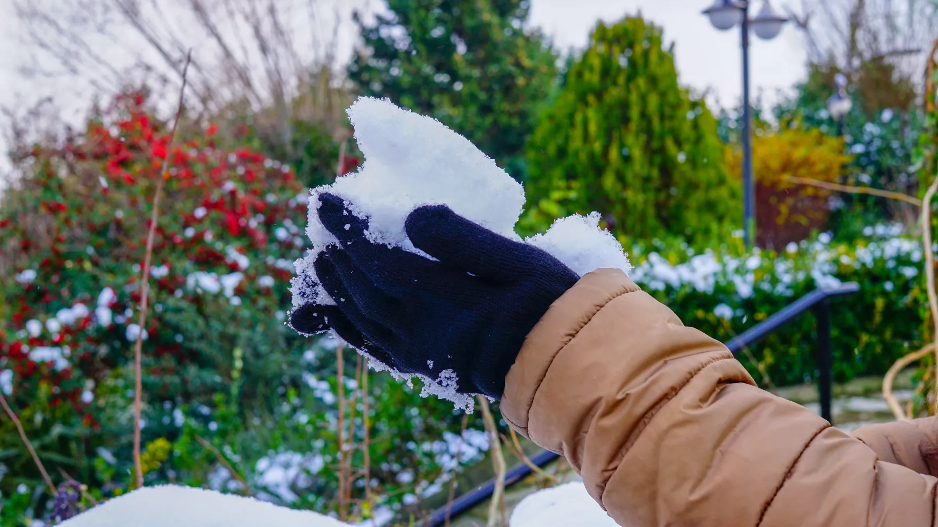 Top 5 Winter Landscaping Tips for Homeowners