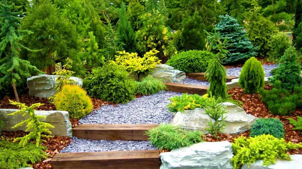 Top 5 Holiday Landscaping Ideas