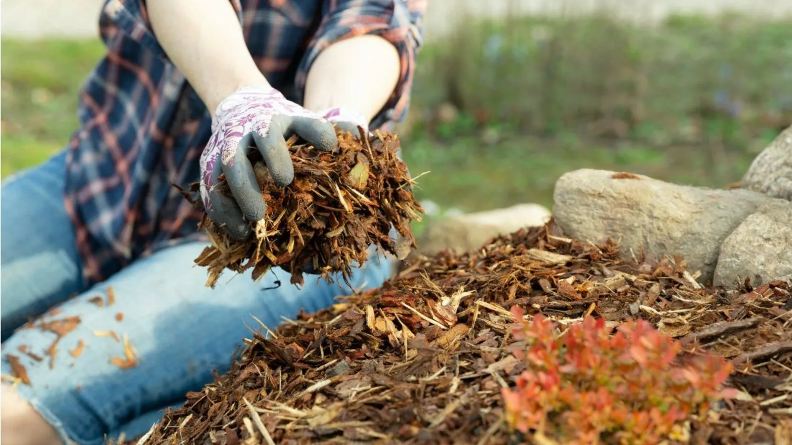 Best Mulches for Winter Protection