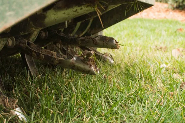 The Importance of Lawn Aeration Before Winter