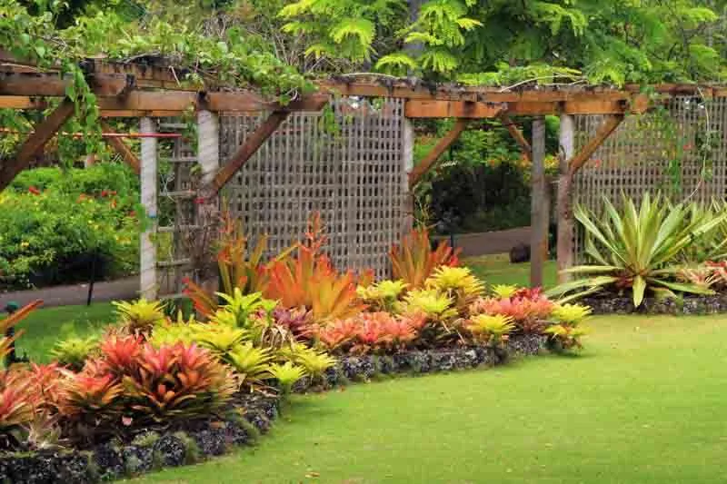 Top 5 Spring Landscaping Tips for Your Yard