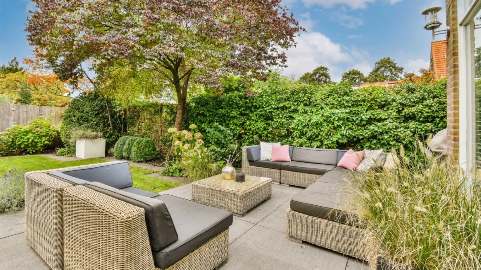 How to Choose the Right Trees for Your Property