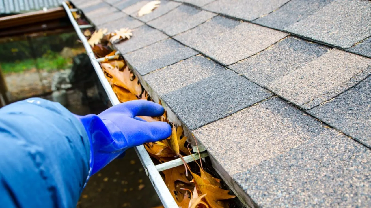 5 Simple Gutter Maintenance Tips Every Homeowner Should Know