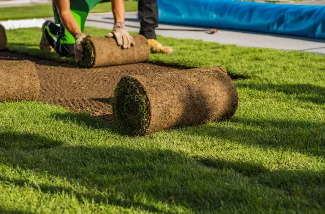 Preparing Your Lawn for : Grass Installation Tips