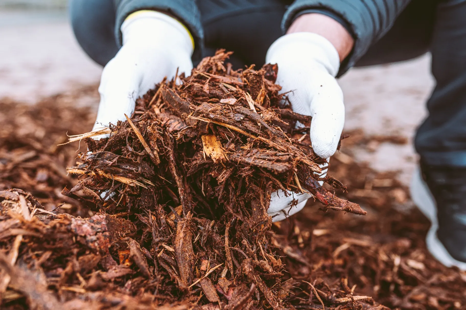 Choosing the Right Mulch for Protection