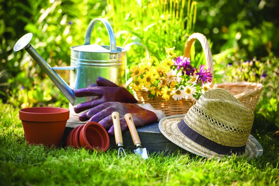 Preparing Your Garden for Spring: Essential Steps
