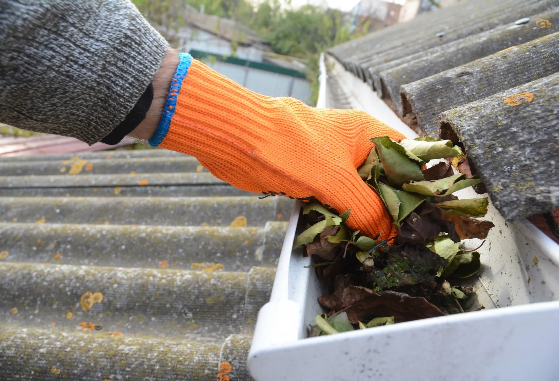 The Importance of Gutter Cleaning in Summer