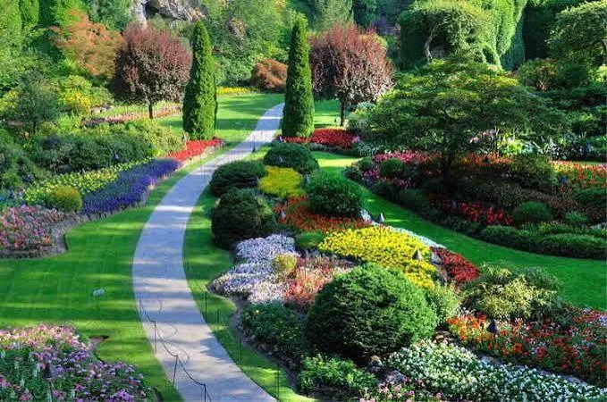 Sustainable Landscaping Techniques