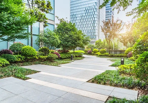 The Future of Urban Green Spaces