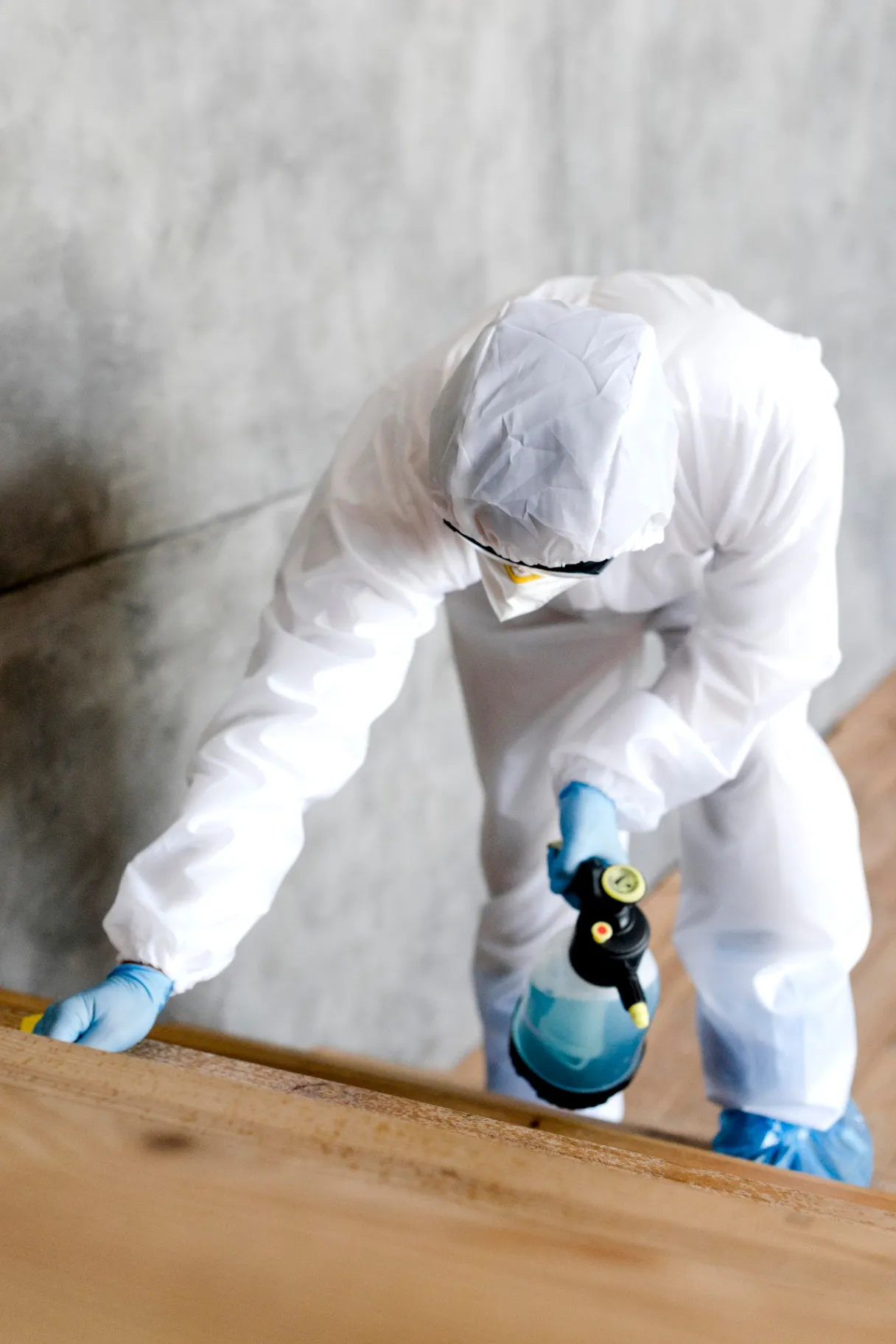 Lead and Asbestos Sampling and Removal