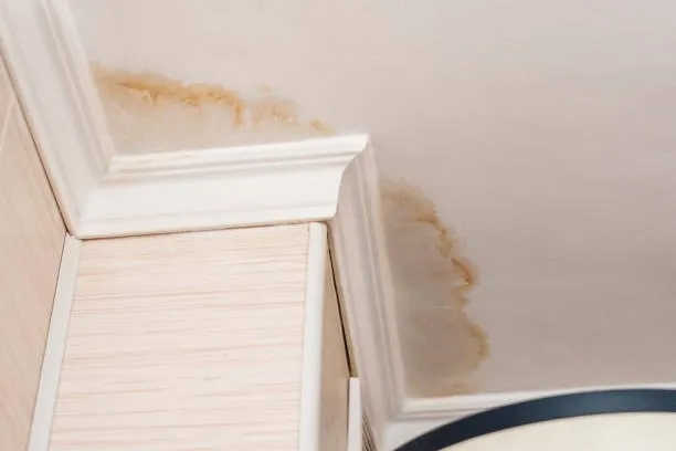 Water Damage
