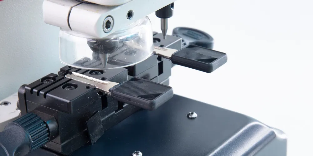 Landscaping services