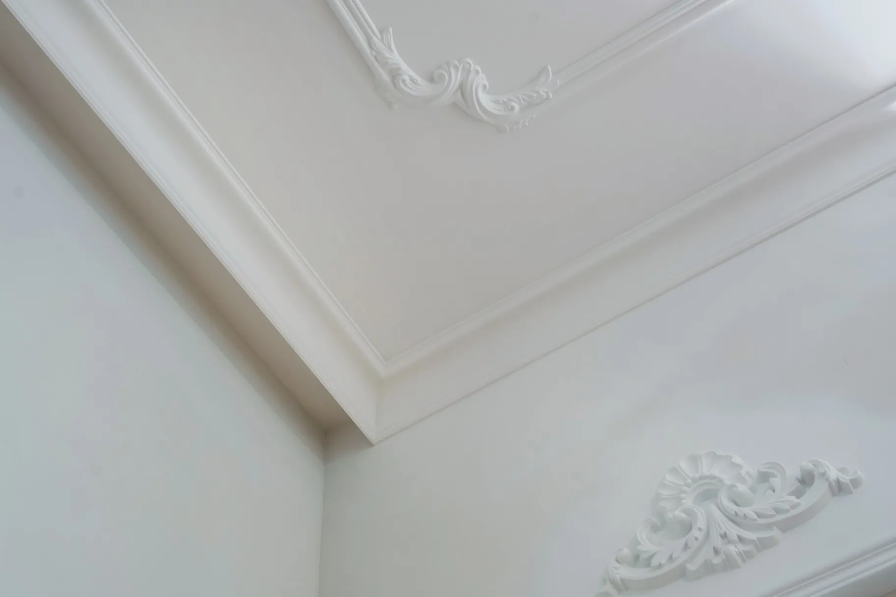 Mold Removal