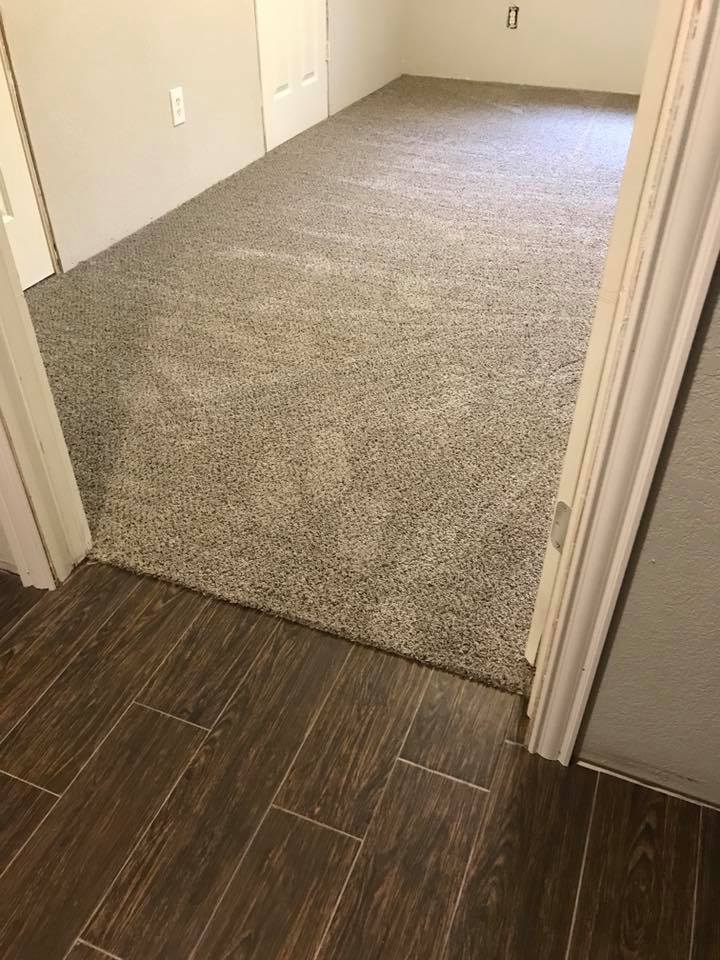 Carpet Care