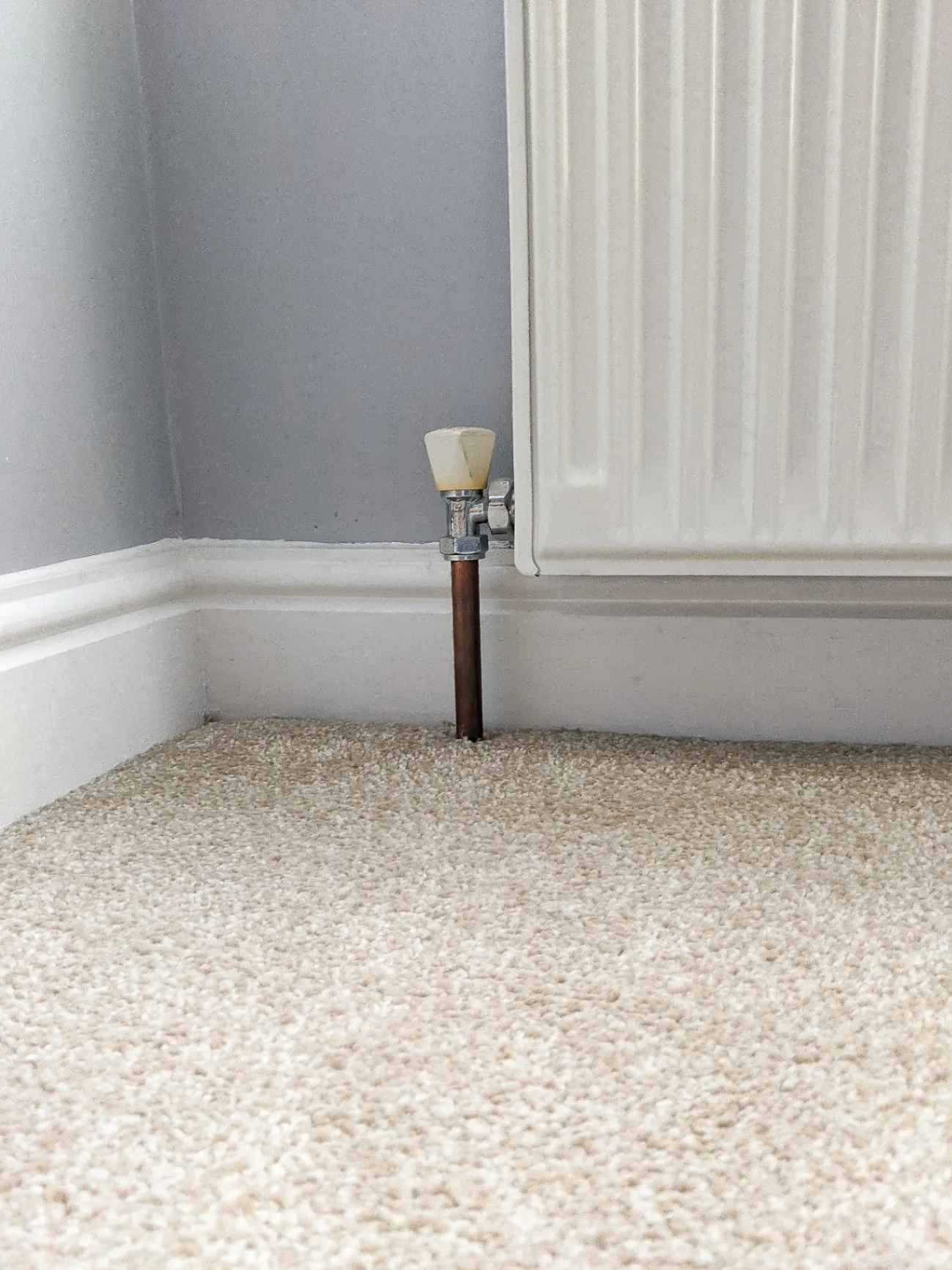 Santana Carpet & More Corp