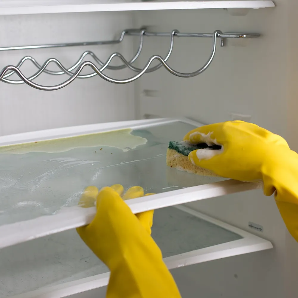 Fridge Cleaning