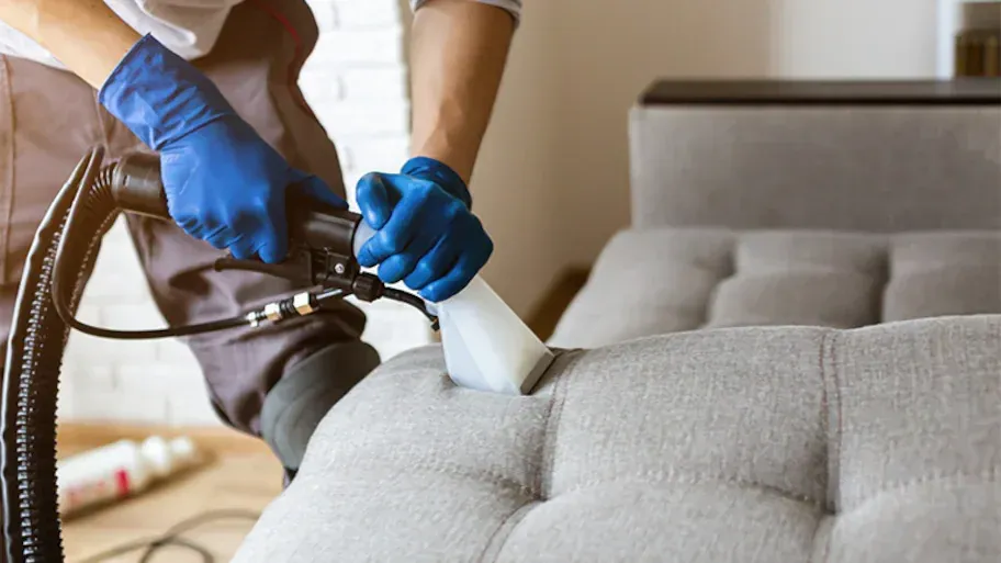 Upholstery Cleaning Services