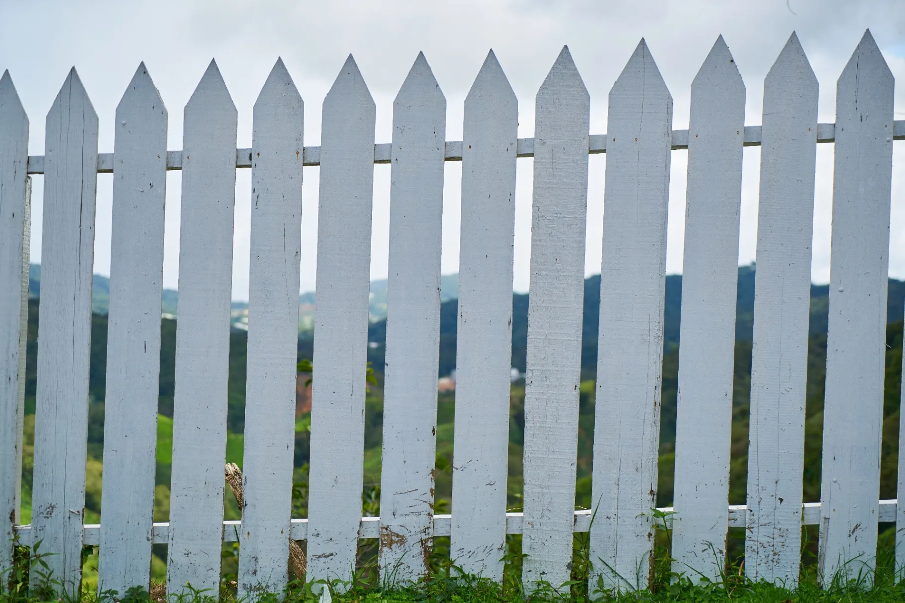 Picket Fence