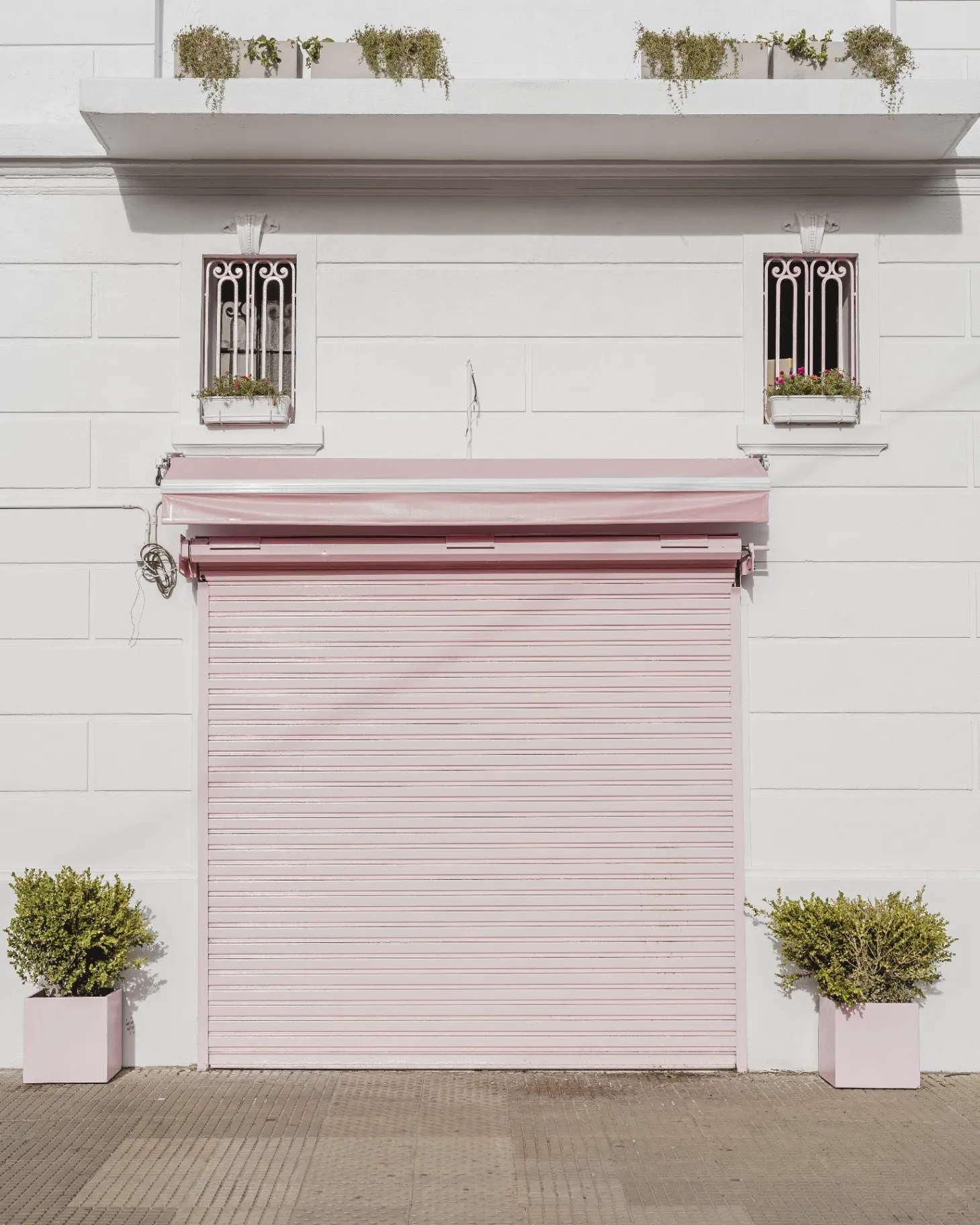Commercial Door and Roll Ups