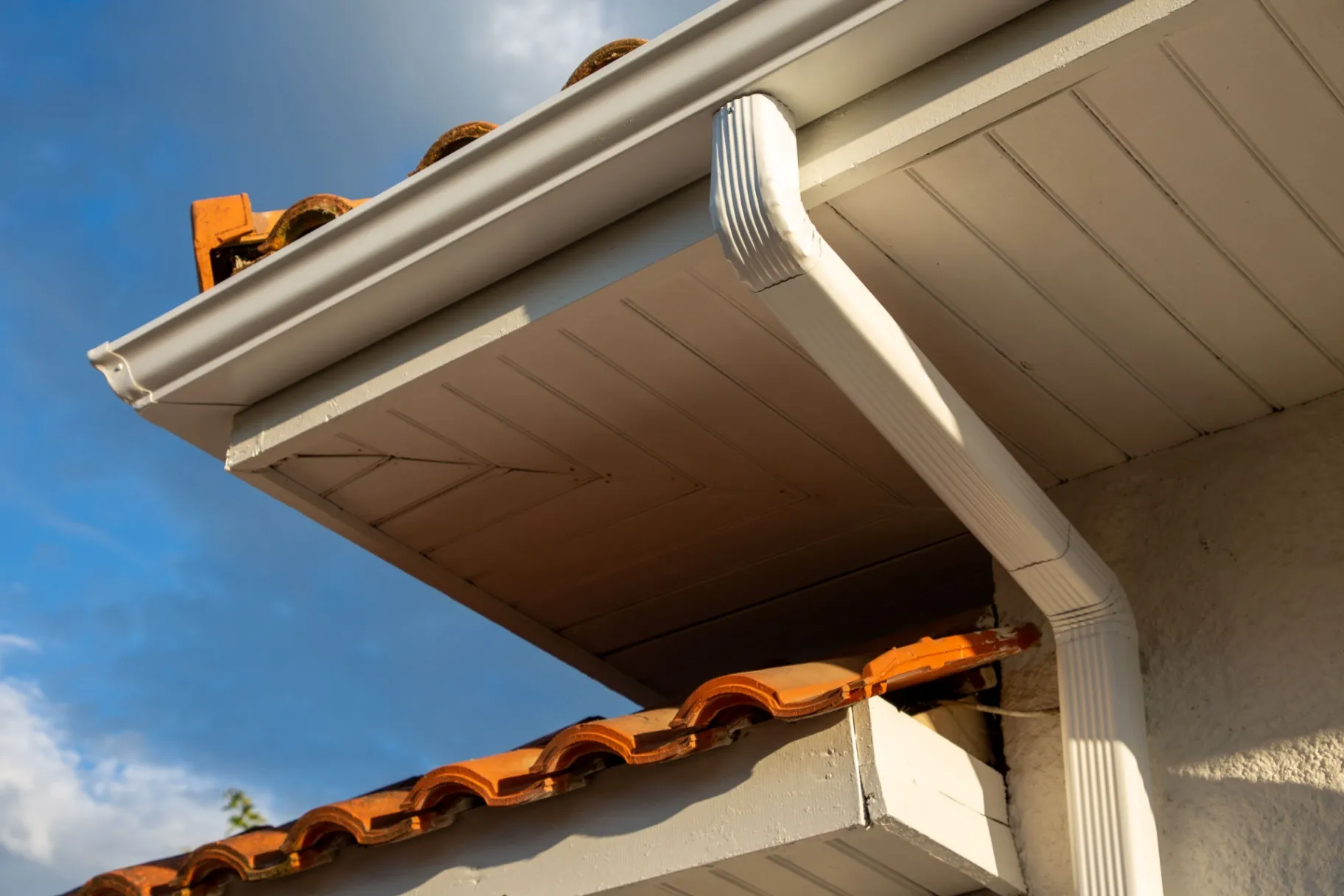 Gutter Cleaning