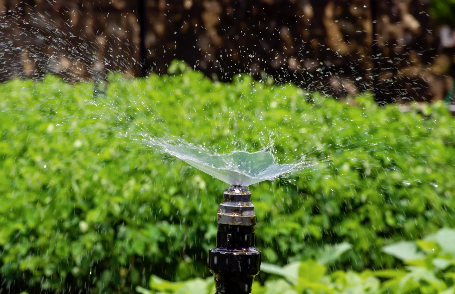 Irrigation System Installation