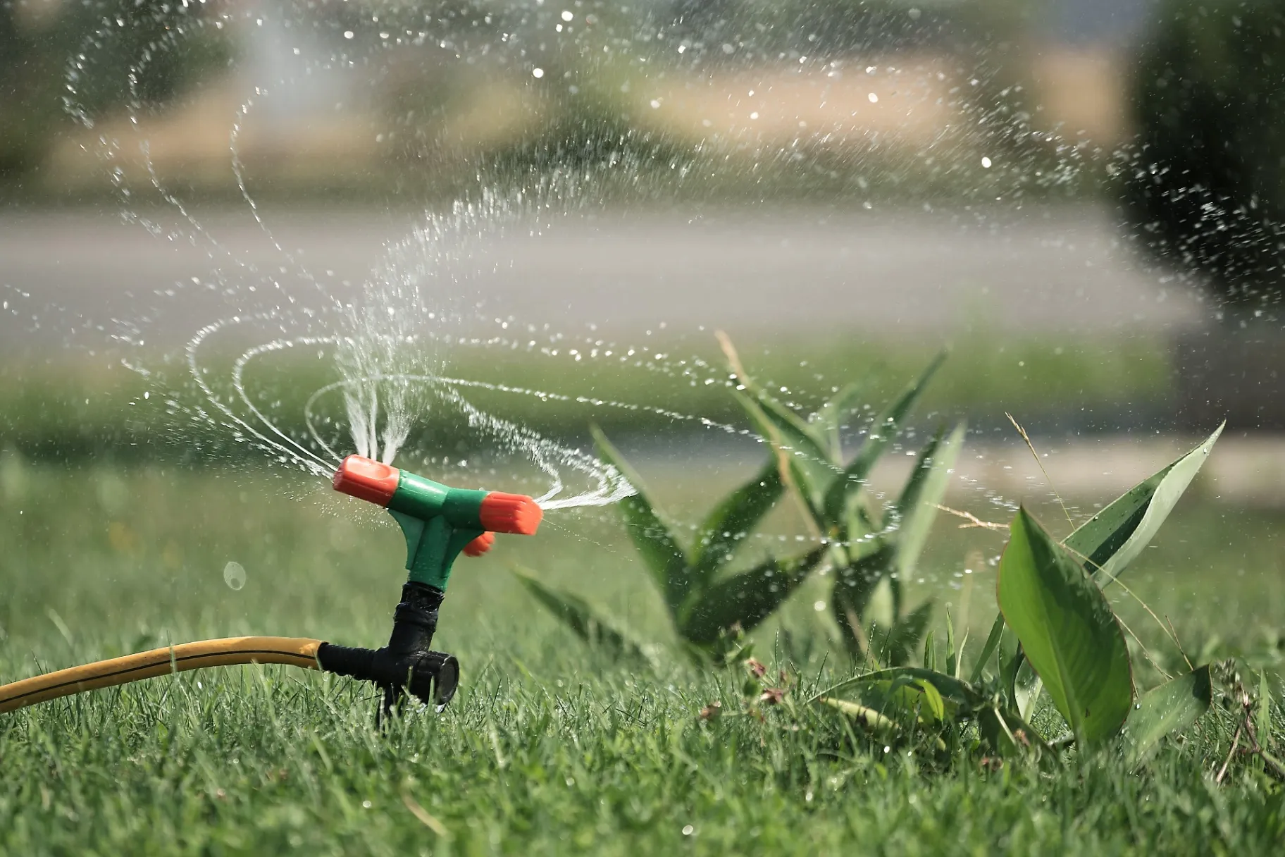 Irrigation