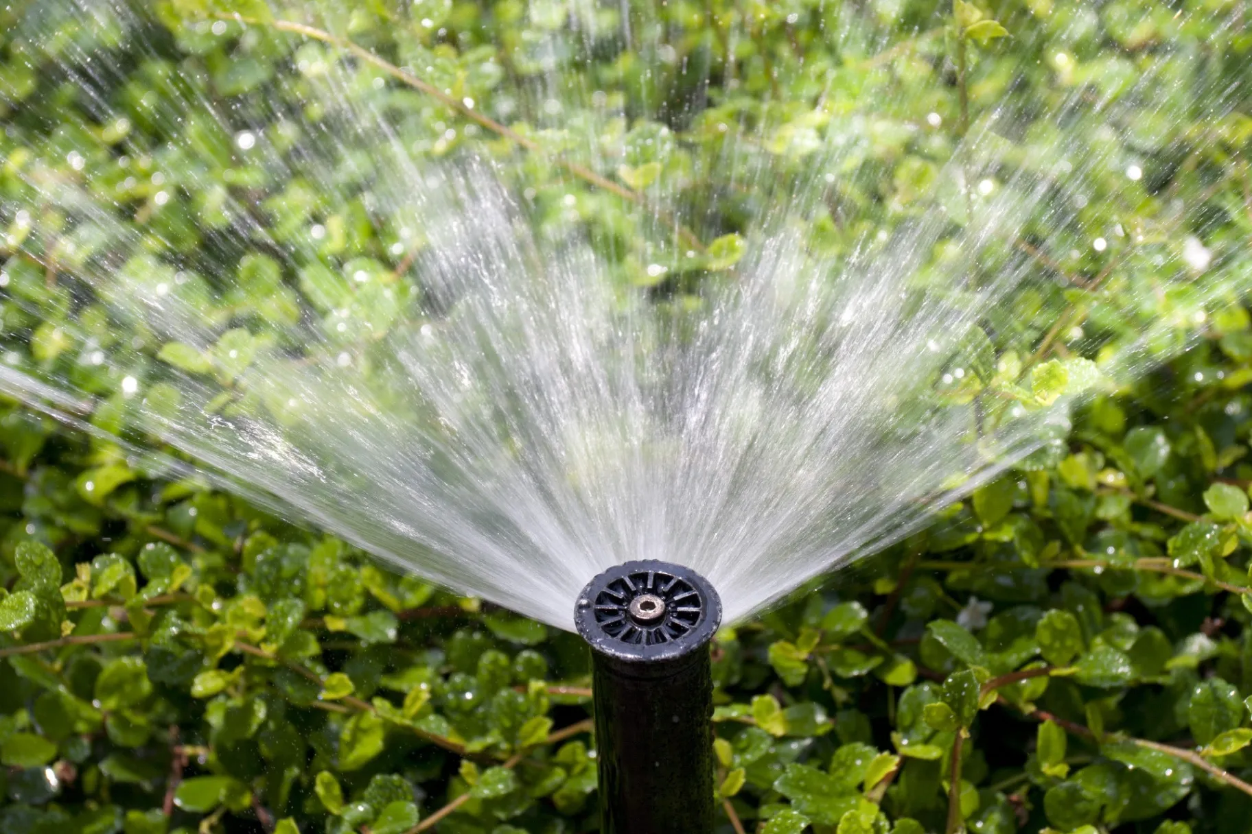 Sprinkler Repair